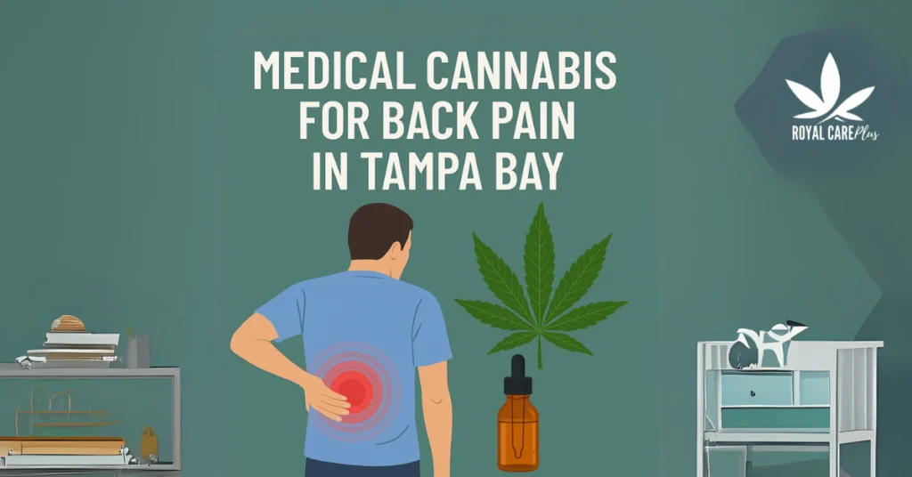 medical cannabis for back pain in tampa bay