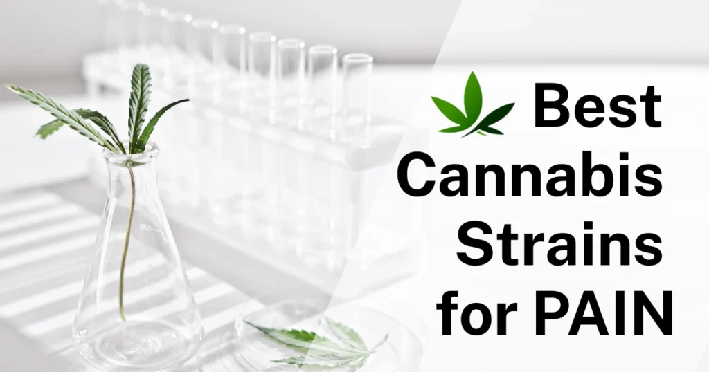 best cannabis strains for pain