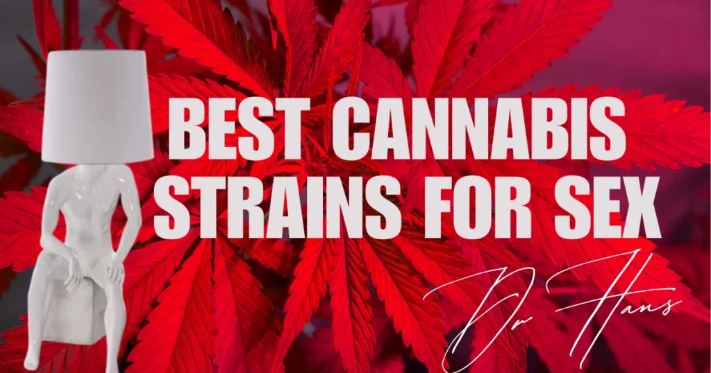 Best Cannabis Strains For Sex